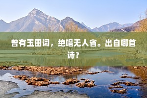 曾有玉田词，绝唱无人省。出自哪首诗？