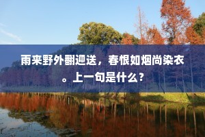雨来野外翻迎送，春恨如烟尚染衣。上一句是什么？