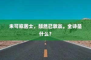 未可称居士，颓然已放翁。全诗是什么？