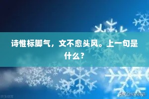 诗惟标脚气，文不愈头风。上一句是什么？