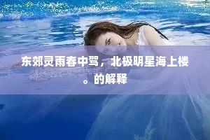 东郊灵雨春中驾，北极明星海上楼。的解释