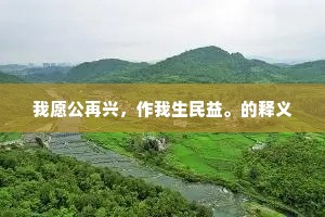 我愿公再兴，作我生民益。的释义