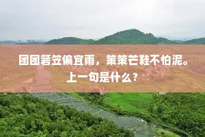 团团箬笠偏宜雨，策策芒鞋不怕泥。上一句是什么？