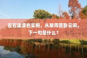 左右逢源名实相，从斯周匝卧云闲。下一句是什么？