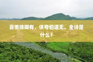 喜羡徐卿有，休夸伯道无。全诗是什么？