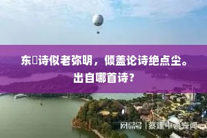 东谿诗似老弥明，倾盖论诗绝点尘。出自哪首诗？