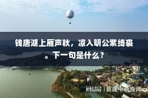 钱唐湖上雁声秋，凉入明公紫绮裘。下一句是什么？