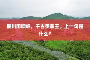 辋川同啸咏，千古羡裴王。上一句是什么？
