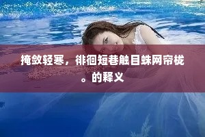 掩敛轻寒，徘徊短巷触目蛛网帘栊。的释义