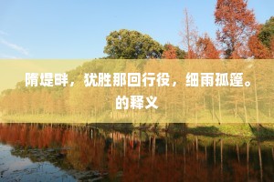 隋堤畔，犹胜那回行役，细雨孤篷。的释义