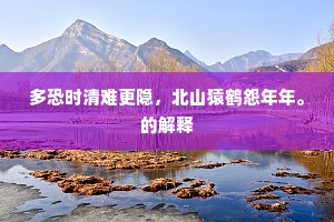 多恐时清难更隐，北山猿鹤怨年年。的解释