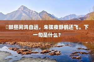 鼛鼓昼闲鸿自远，朱弦夜静鹤还飞。下一句是什么？