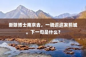 新除博士南京去，一骑迢迢发蓟城。下一句是什么？