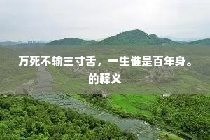 万死不输三寸舌，一生谁是百年身。的释义