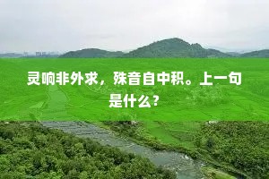 灵响非外求，殊音自中积。上一句是什么？