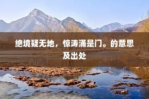 绝境疑无地，惊涛涌是门。的意思及出处
