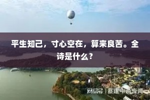 平生知己，寸心空在，算来良苦。全诗是什么？
