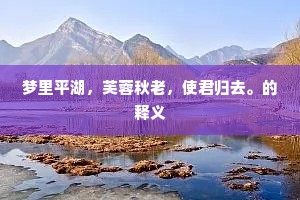 梦里平湖，芙蓉秋老，使君归去。的释义