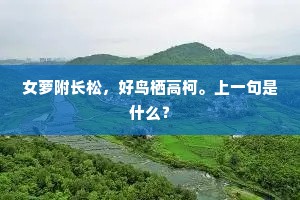 女萝附长松，好鸟栖高柯。上一句是什么？