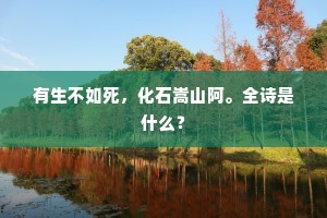 有生不如死，化石嵩山阿。全诗是什么？