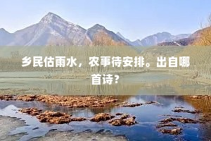 乡民估雨水，农事待安排。出自哪首诗？
