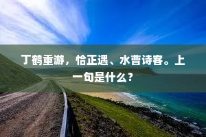 丁鹤重游，恰正遇、水曹诗客。上一句是什么？