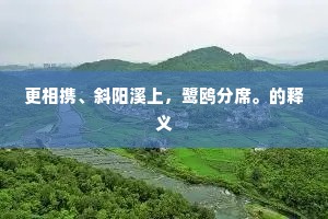 更相携、斜阳溪上，鹭鸥分席。的释义
