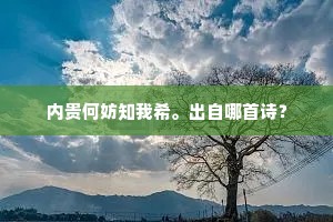内贵何妨知我希。出自哪首诗？