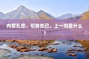 内恕孔悲，引咎在己。上一句是什么？