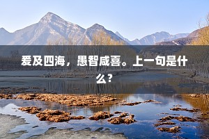 爰及四海，愚智咸喜。上一句是什么？
