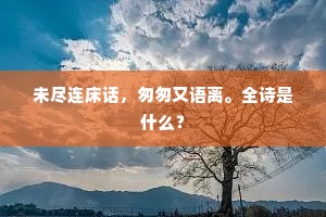 未尽连床话，匆匆又语离。全诗是什么？