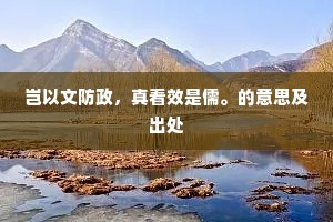 岂以文防政，真看效是儒。的意思及出处