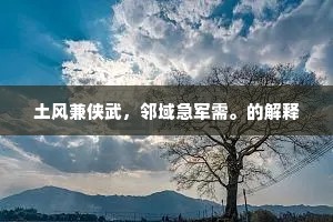 土风兼侠武，邻域急军需。的解释