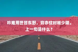 吟难用世皆东野，穷亦忧时祗少陵。上一句是什么？