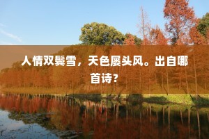 人情双鬓雪，天色屡头风。出自哪首诗？