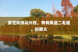 游览尚馀高兴在，匆匆莫遣二毛催。的释义