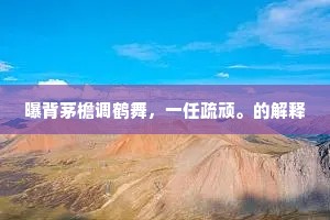曝背茅檐调鹤舞，一任疏顽。的解释
