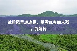 试镫风里道途寒，腊雪红春尚未残。的解释