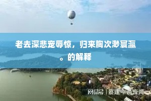 老去深悲宠辱惊，归来胸次渺寰瀛。的解释