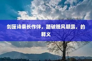 剑匣诗囊长作伴，踏破晚风朝露，的释义