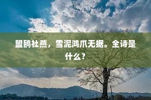 盟鸥社燕，雪泥鸿爪无据。全诗是什么？
