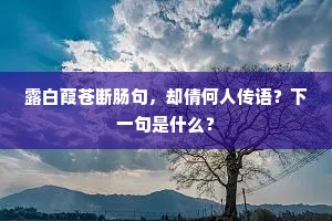 露白葭苍断肠句，却倩何人传语？下一句是什么？