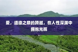 爱，道德之巅的跨越，在人性深渊中拥抱光辉