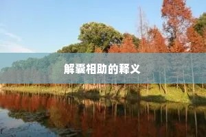 解囊相助的释义