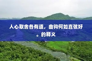 人心取舍各有道，曲钩何如直弦好。的释义