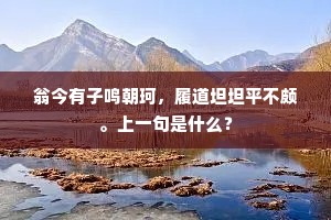翁今有子鸣朝珂，履道坦坦平不颇。上一句是什么？
