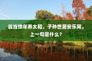 翁当馀年养太和，子孙世居安乐窝。上一句是什么？