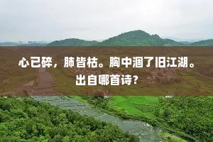 心已碎，肺皆枯。胸中涸了旧江湖。出自哪首诗？