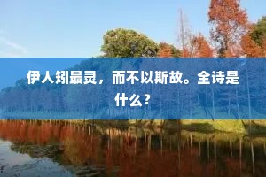 伊人矧最灵，而不以斯故。全诗是什么？