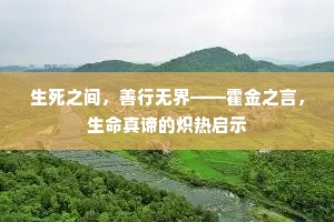生死之间，善行无界——霍金之言，生命真谛的炽热启示